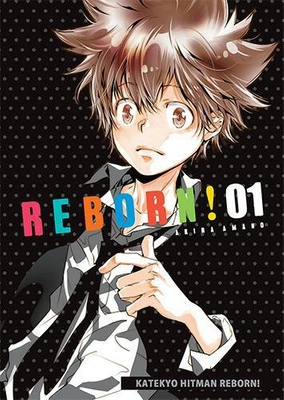 Manga Katekyo Hitman Reborn tom 1