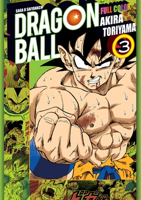 Manga Dragon Ball Full Color - Saga 02 - Tom 04