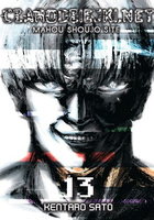 Manga Czarodziejki.net tom 13