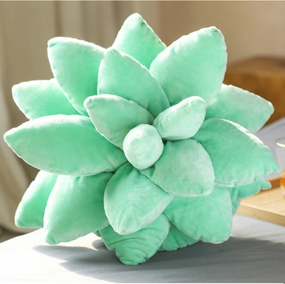 Poduszka Sukulent duży