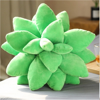 Poduszka Sukulent mały