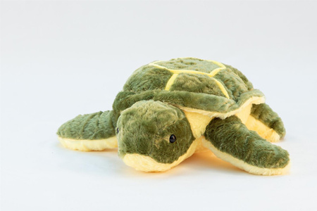 Pluszak Zółw