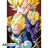 Pocztówki Dragon Ball