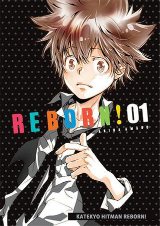 Manga Katekyo Hitman Reborn tom 1