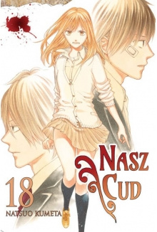 Manga Nasz cud tom 18