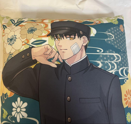 Poduszka Yakuza Fiancé: Raise wa Tanin ga Ii