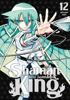 Manga Shaman King tom 12