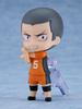 Nendoroid Haikyu!! Surprise Ver. 02 Karasuno Edition 7 cm 