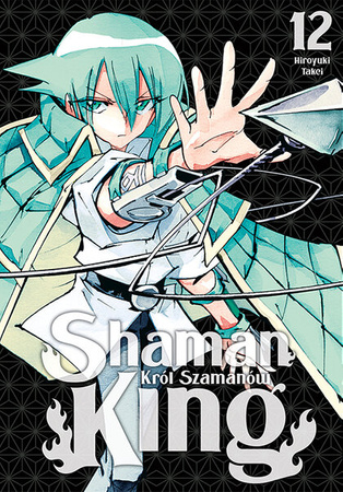 Manga Shaman King tom 12