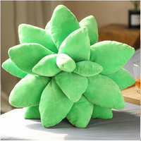 Poduszka Sukulent mały