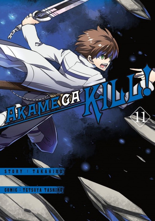 Manga Akame ga kill! tom 11