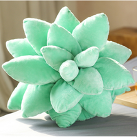 Poduszka Sukulent duży