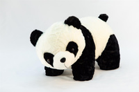 Poduszka Pluszak Panda Duża
