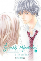 Manga Ścieżki Młodości tom 06